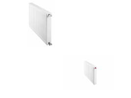 Typ 21