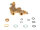 1022721 Proportionalregler hydr PEWO-HWZ everp Buderus Ersatzteil
