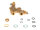 1022721 Proportionalregler hydr PEWO-HWZ everp Buderus Ersatzteil