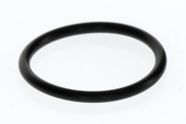 17004S O-Ring (10x) Buderus Ersatzteil