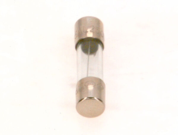 19045223380 Sicherung T1,25A (10x) Buderus Ersatzteil