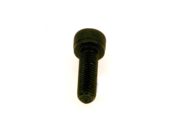 5883160 Zylinderschraube DIN912 M5x16-8.8 Buderus Ersatzteil