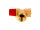 63037888 Sicherheitsventil 3/4" 2,5 bar everp Buderus Ersatzteil