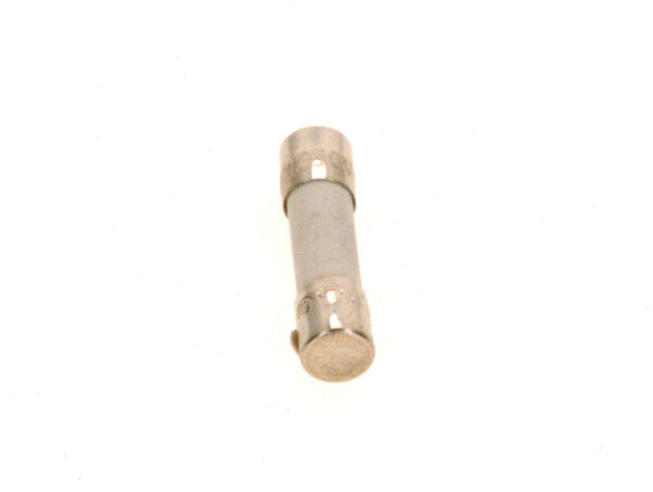 67900738 Sicherungseinsatz IEC127-2/5T(10x) everp Buderus Ersatzteil