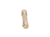 67900738 Sicherungseinsatz IEC127-2/5T(10x) everp Buderus...