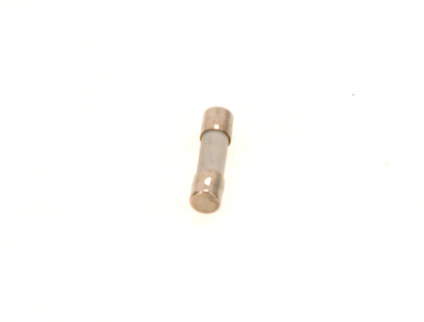 7098442 Sicherung 2,5 Ampere,a 10Stück Buderus Ersatzteil