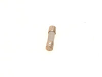 7098442 Sicherung 2,5 Ampere,a 10Stück Buderus...