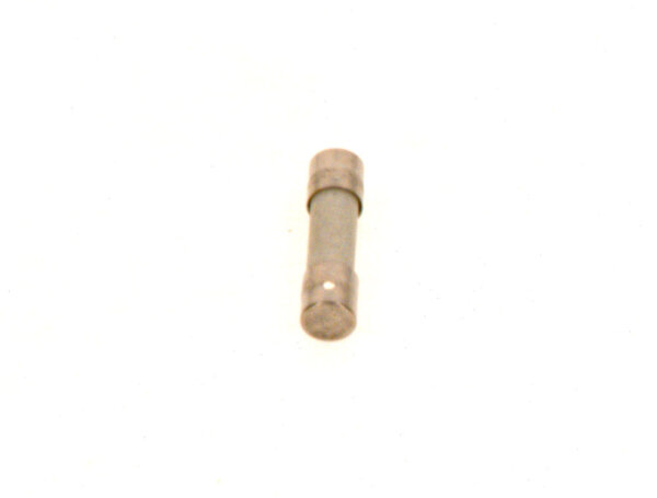 7099466 Feinsicherung 1,0 AT/220V (Set A 10) Buderus Ersatzteil