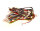 7100910 Kabelbaum Linea Kombi-23 kpl Buderus Ersatzteil