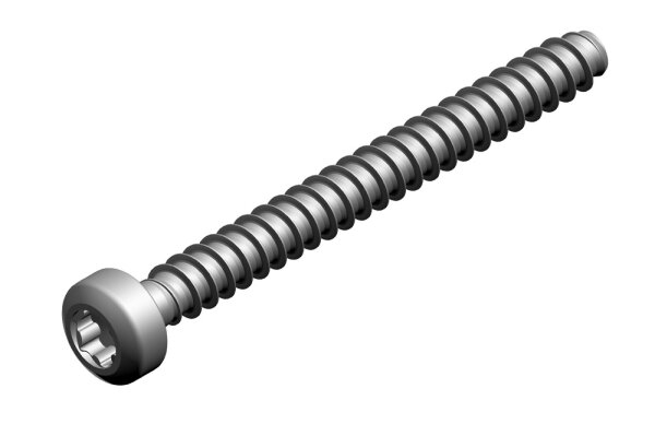 7736700683 Schraube M 35 x 35 (2x) Buderus Ersatzteil