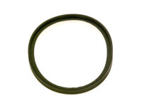 87161116730 Dichtgummi Buderus Ersatzteil
