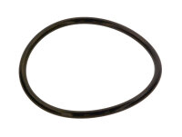 87185725380 O-Ring 120,02x6,99-N everp Buderus Ersatzteil