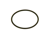 8718578134 O-Ring MBC300 (2x) everp Buderus Ersatzteil