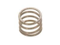 8718587089 Druckfeder 1,6x14,9x13,3 (3x) everp. Buderus...