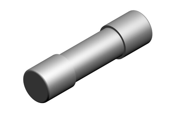 8718589523 Keramiksicherung 5x20-6,3AT-250V everp Buderus Ersatzteil