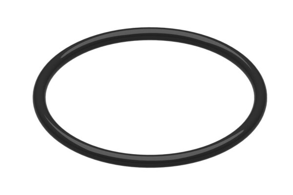 87186681390 O-Ring Buderus Ersatzteil