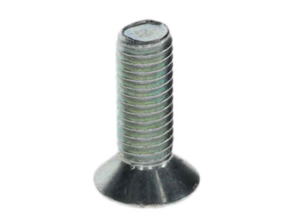 8737603843 Schraube M5x15 (10x) Buderus Ersatzteil
