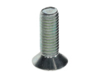 8737603843 Schraube M5x15 (10x) Buderus Ersatzteil
