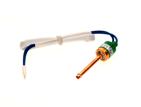 8738204569 Druckwächter 42bar Buderus Ersatzteil