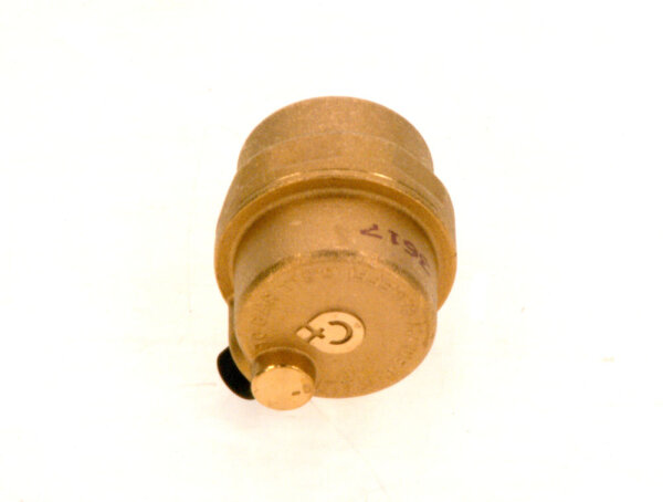 8738207572 Automatischer Entlüfter G 1/4" Buderus Ersatzteil