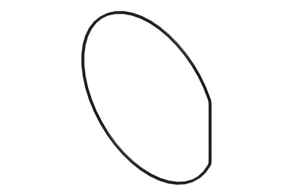 8738213858 Dichtung Gehäuse (EPP) Buderus Ersatzteil