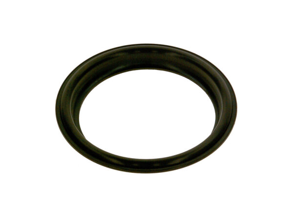 8738800669 Dichtring DN 110 Buderus Ersatzteil