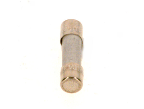 8738803397 Sicherung 10A (10x) everp Buderus Ersatzteil