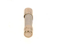 8738803397 Sicherung 10A (10x) everp Buderus Ersatzteil
