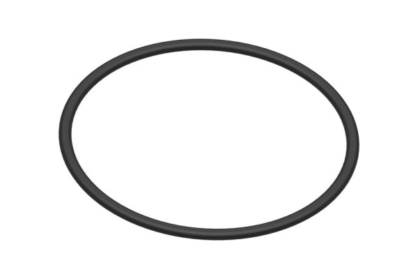 8738807800 O-Ring für Ölfilter everp Buderus Ersatzteil