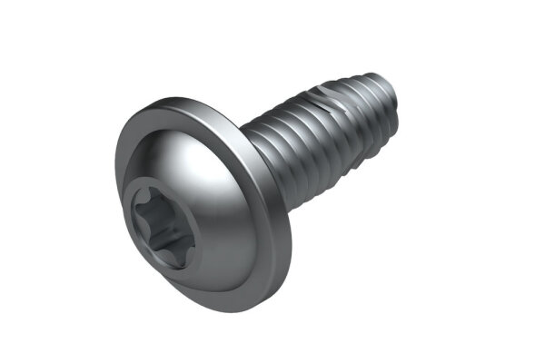 8738901698 Schraube ST 5 x 12 (10x) Buderus Ersatzteil