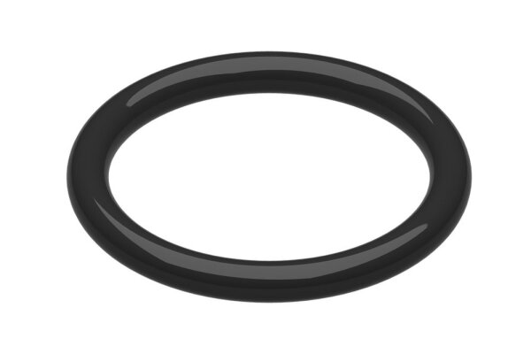 8738903189 O-Ring 44.20 x 5.80 (2x) Buderus Ersatzteil