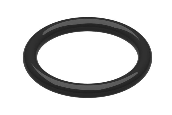 87485110200 O-Ring (5x) Buderus Ersatzteil
